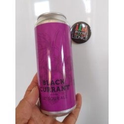 Clock Black Currant Sour Ale 12°5,1% 0,5l - Pivní lednice