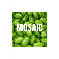 Mosaic 125g - Beerstore Barcelona