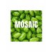 Mosaic 125g Mosaic 125g
