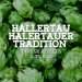 Hallertau Halertauer Tradition Type 90 pellets  5.3% A.A. 
