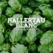 Hallertau Blanc Type 90 pellets 