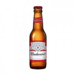 Budweiser 24x330ml - The Beer Town