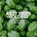 East Kent Golding Type 90 pellets  Alpha 4.0% 