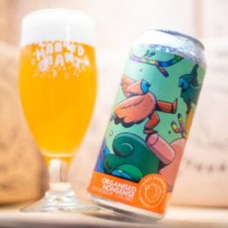 Left Handed Giant  Organised Nonsense [5.5% Fruited Sour] - Red Elephant