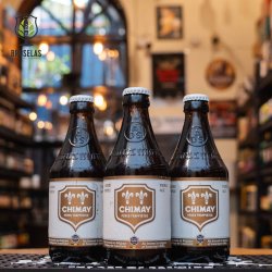 Chimay Cinq Cents (White) Chimay Cinq Cents (White)