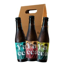 Serra Storta Bundle Yucca x 12 - Serra Storta