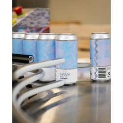 Gamma Brewing Company No Doink