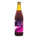 Funky Fluid Black Currant Sour ALE 3,9% 500 ml 