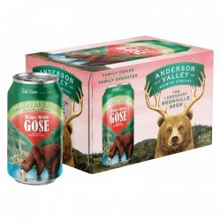 Anderson Valley Briney Melon Gose 6-pack - The Open Bottle