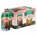 Anderson Valley Briney Melon Gose 6-pack 