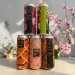 IIIO Brewery est. 2017 Bundle 5 Cans. 