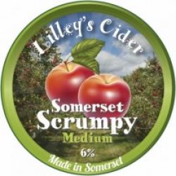 Lilleys Somerset Medium (Bag In Box) - Drink It In