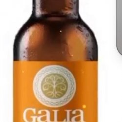 Galia Brewing Co American Pale Ale botella 500 cc - Birrava