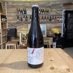 Ammonite Cuvée Vinifera 2022  Pinot Noir - Carafons