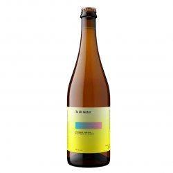 To Øl- Natur Dispersed Vertices Taiheke Wild Ale 6.5% ABV 750ml Bottle - Martins Off Licence