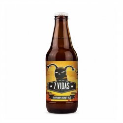 7vidas Oxapampa Honey Ale 330ml - Beer World Perú