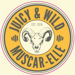 Lambiek Fabriek Juicy and Wild Muscar-Elle 375ML - Bine & Vine