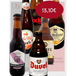 Lote Selección de cerveza belga - Cervezas Diferentes