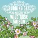 Burning Sky - Wild Rose Saison - 6.5% Mixed Fermentation Saison - 750ml Bottle Burning Sky - Wild Rose Saison - 6.5% Mixed Fermentation Saison - 750ml Bottle