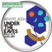 Whiplash - Under The Eaves - Seasonal Pale Ale - 4.8% ABV, 30l keg 