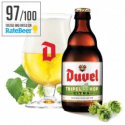 Duvel Tripel Hop Citra 9,5% (Casier de 24 x 33cl) - Big Bag Delivery