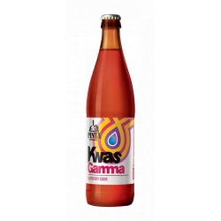 PINTA Kwas Gamma 500ml - Funky Fluid