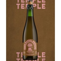 Pinta Barrel Brewing Temple 375ml - Funky Fluid