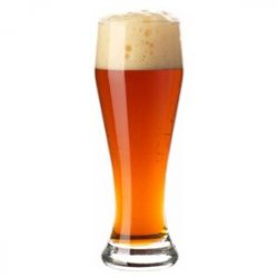 Kit Cervecero Indian Pale Ale (IPA) - The Craft Drinks Lab