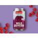 Great Divide Wild Raspberry Fruit Beer 