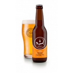 Ibosim Talaia Single Hop IPA - Ibosim - Ibiza Beer Company