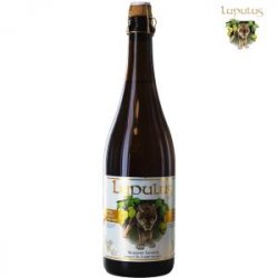 Lupulus Blonde Lupulus Blonde