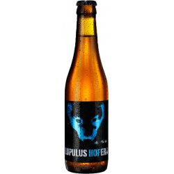 LUPULUS HOPERA Bonde Belge 6° 33 cl  - Sourire Des Saveurs