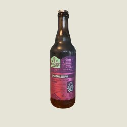 Bottle Logic - Cephalophilosophy (2023) - Bier Atelier Renes