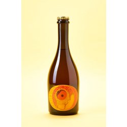 Jester King Aurelian lure - Buvance