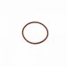 Replacement O-ring for RipTide™ pump 