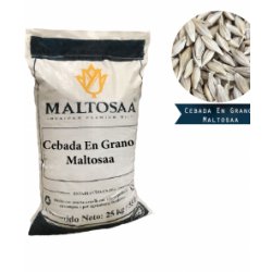 Cebada en grano - Maltosaa