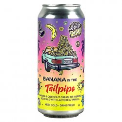 Hidden Springs Banana In the Tailpipe Sour Ale - CraftShack