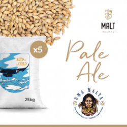 Pale Ale UMA x 5 Bolsas de 25kg - Malt Insumos
