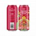 Collective Arts Cherry Limeade Sour 