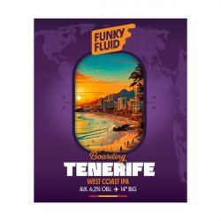 Funky Fluid Boarding: Tenerife