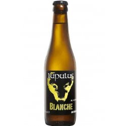 Lupulus Blanche - The Belgian Beer Company