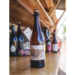 Casey Brewing & Blending Funky Blender Apricot - Perfection (2/28/20)