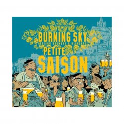 Burning Sky, Petite Saison, 3.4%, 440ml - The Epicurean