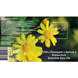 Ārpus Brewing Co. Chilli X Pineapple X Apricot X Passionfruit Smoothie Sour Ale