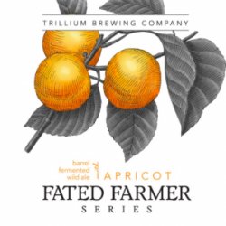 Fated Farmer: Apricot (2019) Vintage of Fated Farmer: Apricot, Trillium Brewing Company - Nisha Craft