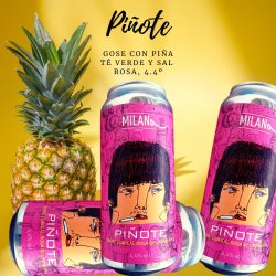 CAJA MILANA PIÑOTE 12X33CL (LATA 44CL), GOSE CON PIÑA, TÉ VERDE Y SAL ROSA 4.4º  - Milana