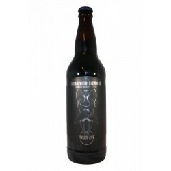 Central Waters Brewing Co  Twenty Five  Variant - Brother Beer