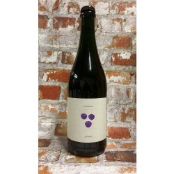 Métaphore Pinots 75CL - Gerijptebieren.nl