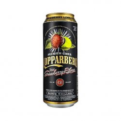 Kopparberg Strawberry & Lime 500ml Can - Bot Drinks