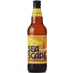 Evan Evans Sea Scape